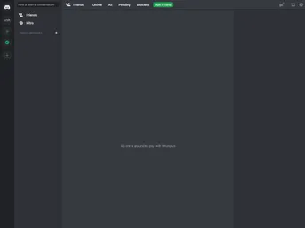 Discord Clone Old screenshot